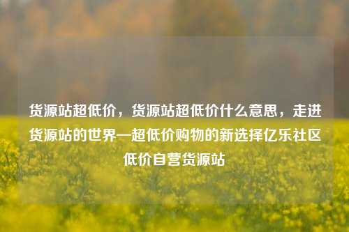 货源站超低价	，货源站超低价什么意思，走进货源站的世界—超低价购物的新选择亿乐社区低价自营货源站  第1张